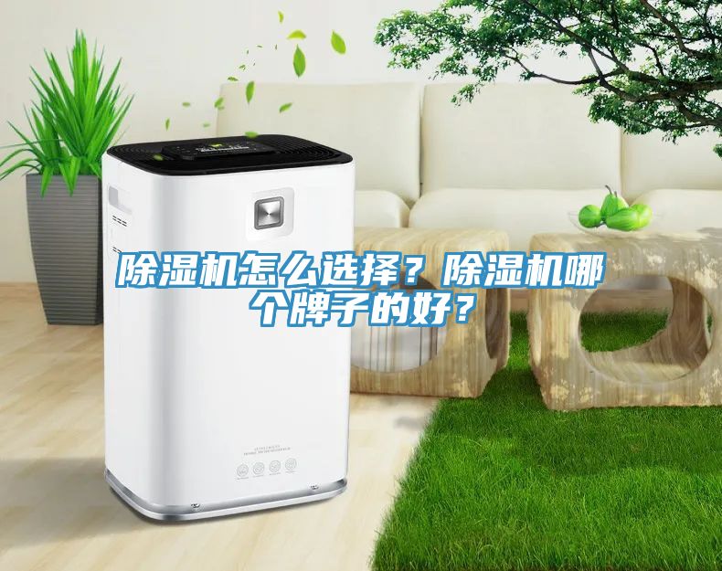 除濕機怎么選擇？除濕機哪個牌子的好？