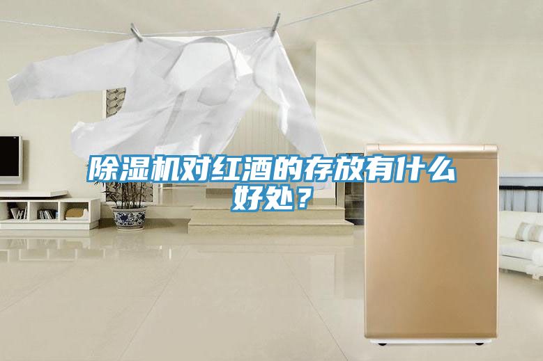 除濕機對紅酒的存放有什么好處？