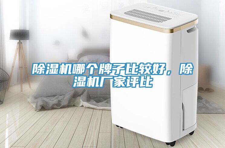 除濕機(jī)哪個(gè)牌子比較好，除濕機(jī)廠家評(píng)比