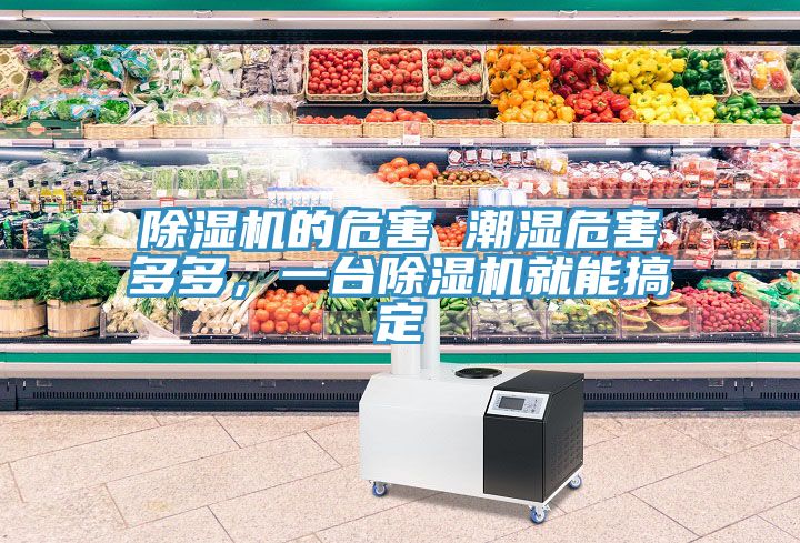 除濕機(jī)的危害 潮濕危害多多，一臺(tái)除濕機(jī)就能搞定