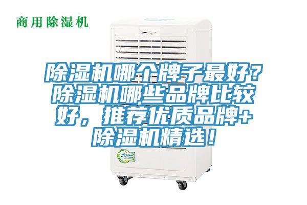 除濕機(jī)哪個(gè)牌子最好？除濕機(jī)哪些品牌比較好，推薦優(yōu)質(zhì)品牌+除濕機(jī)精選！