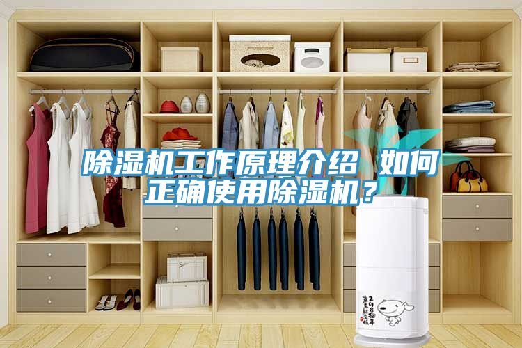 除濕機(jī)工作原理介紹 如何正確使用除濕機(jī)？