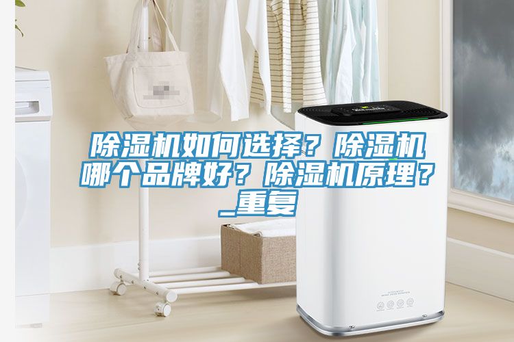 除濕機(jī)如何選擇？除濕機(jī)哪個(gè)品牌好？除濕機(jī)原理？_重復(fù)