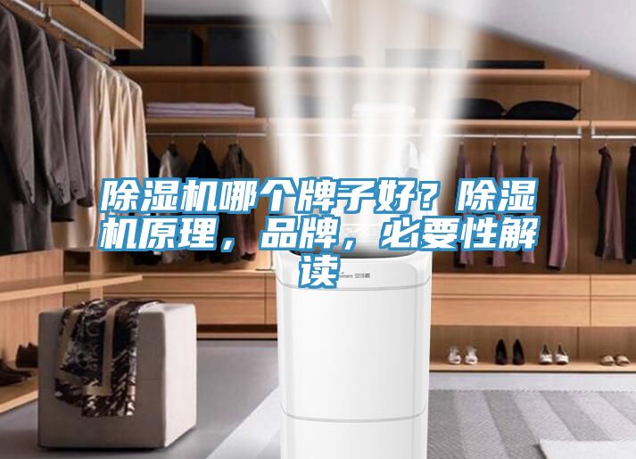 除濕機哪個牌子好？除濕機原理，品牌，必要性解讀