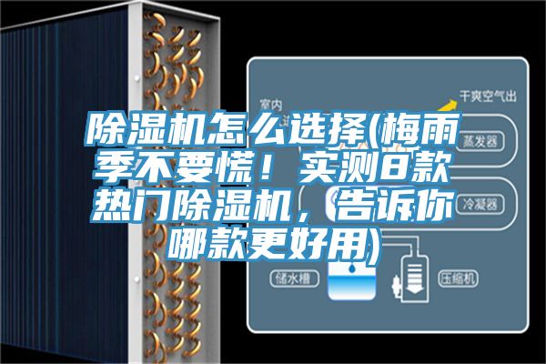 除濕機怎么選擇(梅雨季不要慌！實測8款熱門除濕機，告訴你哪款更好用)