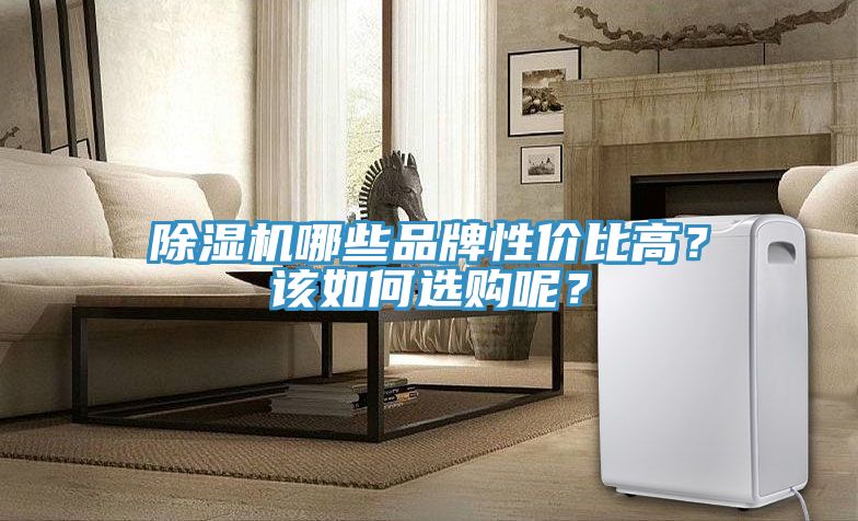 除濕機(jī)哪些品牌性價(jià)比高？該如何選購(gòu)呢？