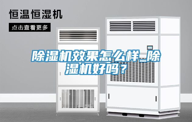 除濕機(jī)效果怎么樣_除濕機(jī)好嗎？