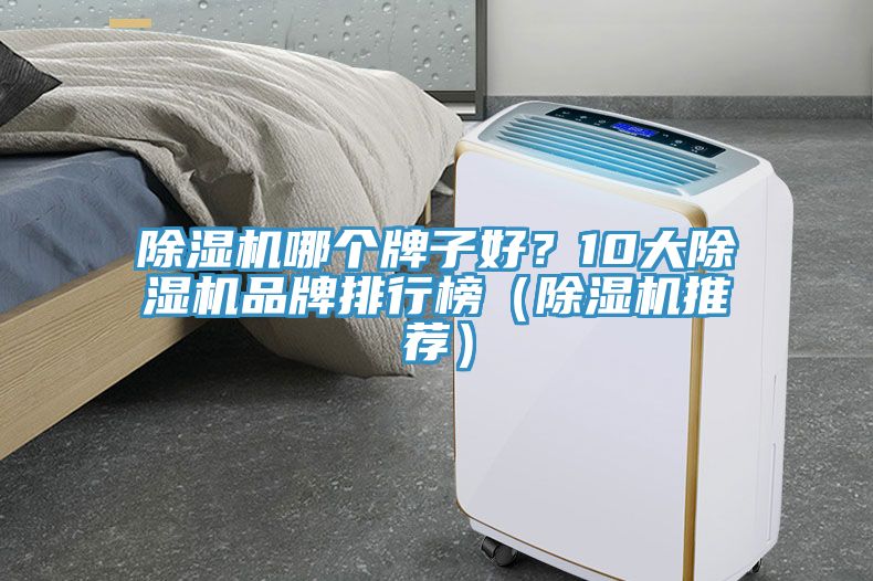 除濕機哪個牌子好？10大除濕機品牌排行榜（除濕機推薦）