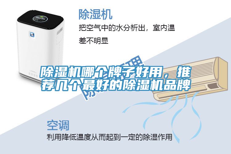 除濕機(jī)哪個牌子好用，推薦幾個最好的除濕機(jī)品牌