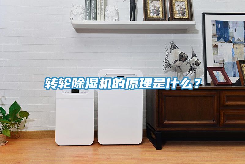 轉(zhuǎn)輪除濕機的原理是什么？