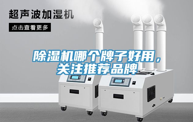 除濕機(jī)哪個牌子好用，關(guān)注推薦品牌