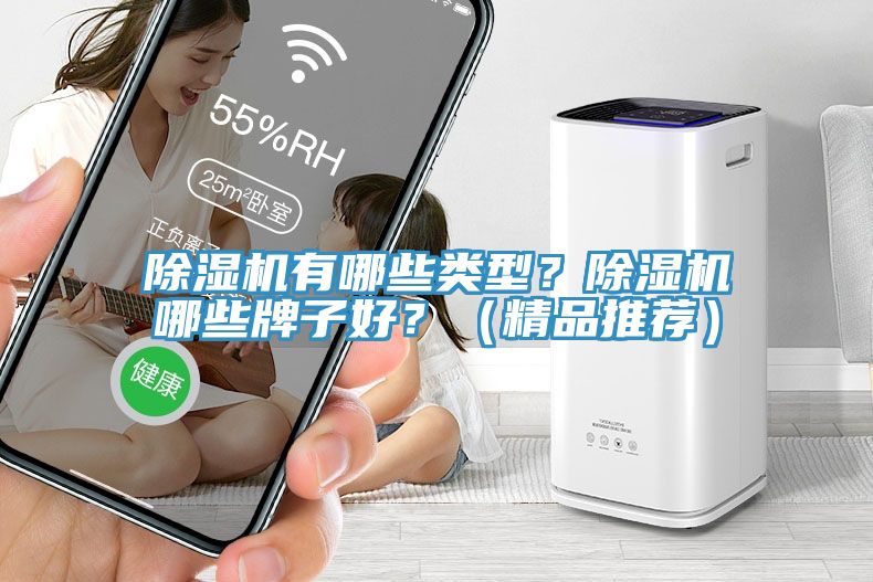 除濕機有哪些類型？除濕機哪些牌子好？（精品推薦）