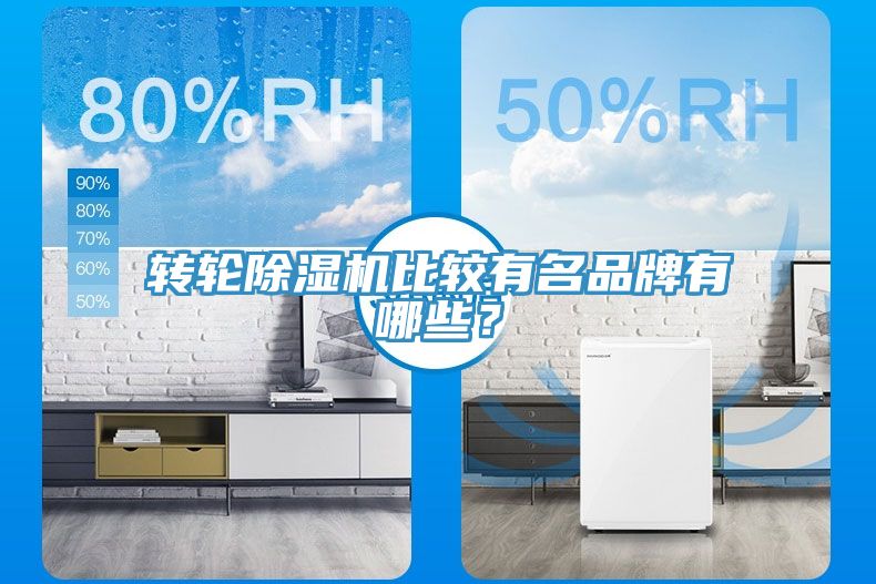 轉(zhuǎn)輪除濕機(jī)比較有名品牌有哪些？
